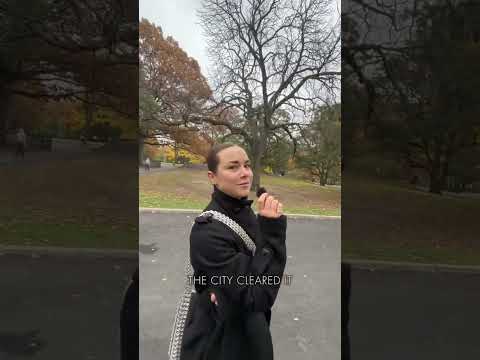 Central Park a very brief history of the New York City park that we all love …