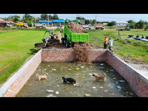 First Start Perfect New Project!! Complete100% Delete Foundation In Box by Dozer Komat'su & 5-T Dump