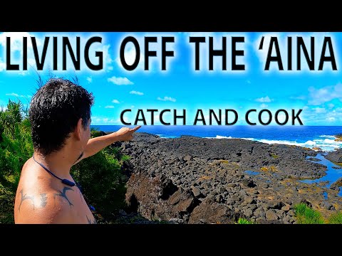 Special Access To Kings Landing - Hawaiians Only