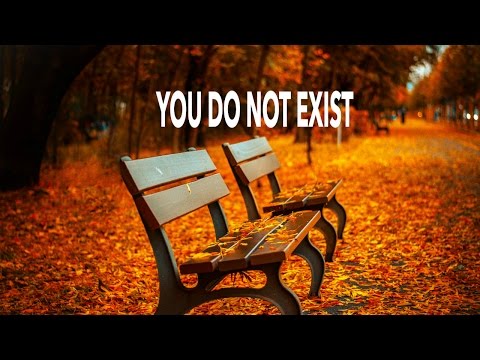 The Self is an Illusion - You Do Not Exist