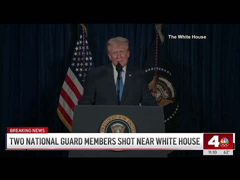 Immigration applications paused for Afghans after National Guard shooting