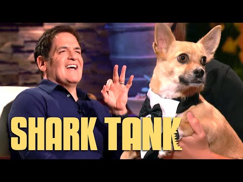 Will the Sharks Say "I Do" to a Wedding Pet Service? | Shark Tank US | Shark Tank Global