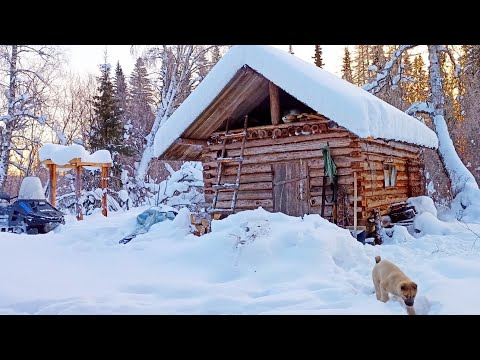 НОЧУЕМ С КОТОМ И ЩЕНКОМ В ИЗБУШКЕ В -30 / УЕХАЛ НА НОВЫЙ ГОД В ТАЙГУ / ОБЫЧНЫЙ ДЕНЬ В ЗИМОВЬЕ.