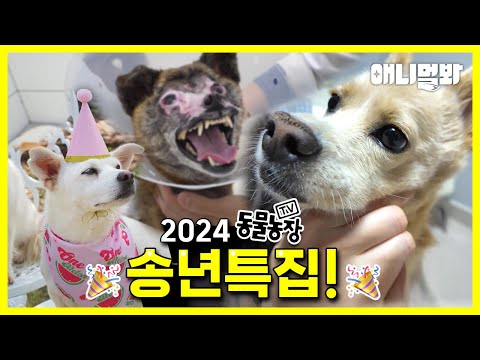 [FULL] Adios 2024! 🙌TV Animal Farm Star Updates🐶🐱