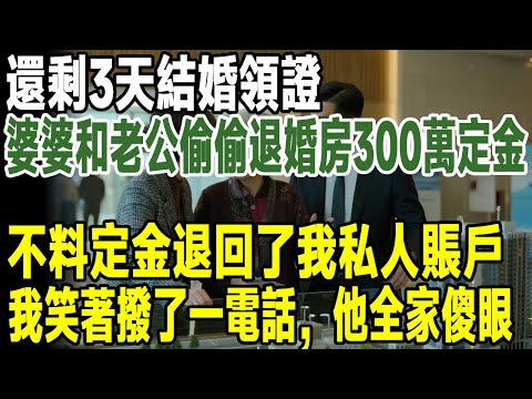 還剩3天結婚領證,婆婆和老公偷偷退婚房300萬定金,不料定金卻退回了我的私人賬戶,我笑著撥了一電話,他全家傻眼#人生新篇章