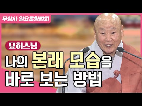 시주 은혜를 갚지 않으면 벌어지는 무서운 일 #묘허스님 #무상사일요초청법회 899회 풀버전