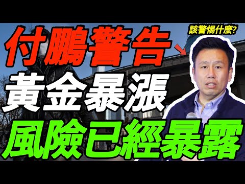 【突发】黄金暴涨！风险已经暴露！该警惕什么？付鹏点破真相！