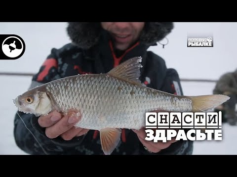 Крутые зимние приключения и гора плотвы | Снасти, здрасьте!