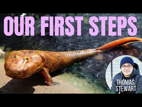 WHEN FISH WALKED - Tiktaalik, Qikiqtania & Early Tetrapods ~ with THOMAS STEWART