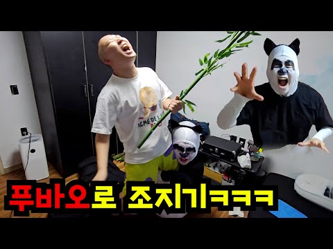 대나무로 사람 후려치는 푸바오ㅋㅋㅋ