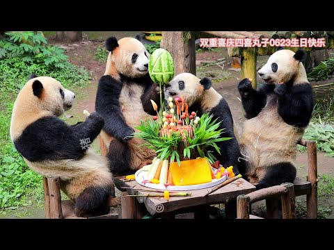 6.23 Big Birthday Cake🎂for ChongChong, ShuangShuang, XiXi & QingQing 4 years old BD at Chongqing Zoo