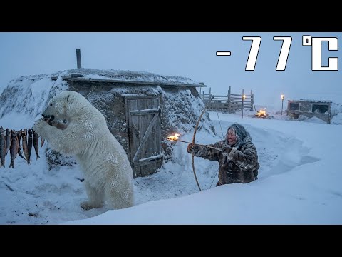 –77°C Arctic Blizzard: 80-Year-Old Widow Defends a Buried Shelter from a White Polar Bear