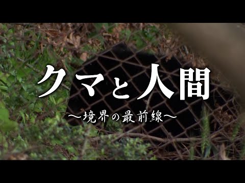 [Iwate Travelogue] Bears and Humans: The Frontline of the Border