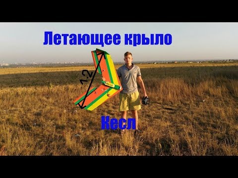 Летающее крыло размахом 1.2 метра своими руками.