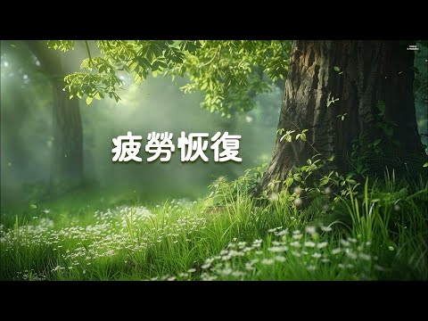 100% 無廣告 - 讓頭腦清醒的森林療癒音樂｜疲勞恢復音樂，適合閱讀、工作、冥想、瑜伽、按摩、SPA、助眠、自然之聲與身心放鬆。