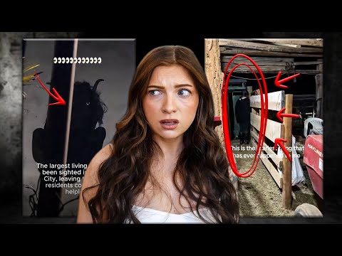 I Found the CREEPIEST TikToks...