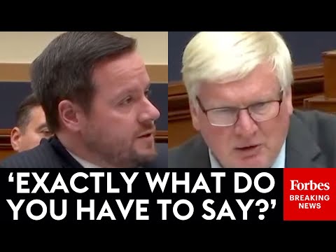 Grothman Asks U.K. Lawyer: What Do You Have To Say To Be Sent To Prison In Great Britain?