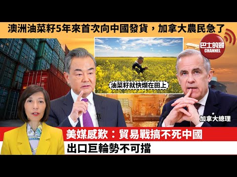 (附字幕) 李彤「外交短評」澳洲油菜籽5年來首次向中國發貨，加拿大農民急了。美媒感歎：貿易戰搞不死中國，出口巨輪勢不可擋。 25年11月5日
