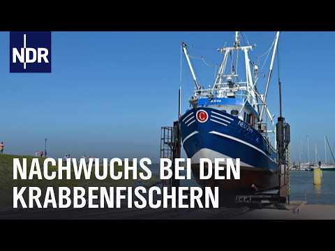 Vom Schlickschlitten zum Hochseekutter: Krabbenfischerei im Norden | Unsere Geschichte | NDR Doku