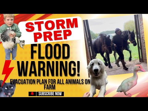 FLOOD WARNING! Evacuation Plan for Horses and Safe for All Animals on the Farm.