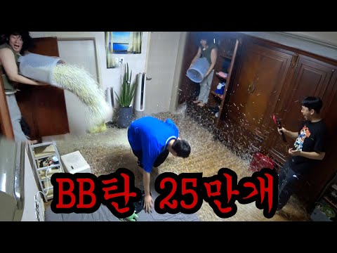 비비탄 250000개로 복수하기ㅋㅋㅋ