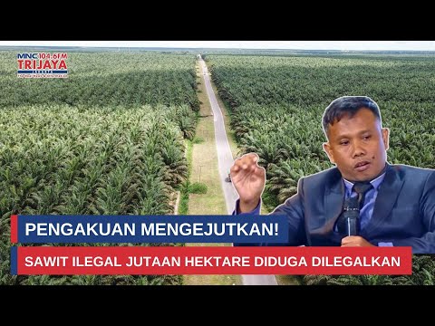 Ahmad Khozinudin Bongkar Skandal Sawit Ilegal 3,3 Juta Hektare I Rakyat Bersuara