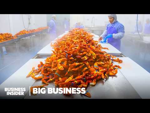 Why Maine's $1 Billion Lobster Industry Could Be At Risk | Big Business | Business Insider
