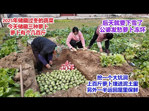 It's going to snow the day after tomorrow, and my in-laws are worried the radishes will freeze. T...