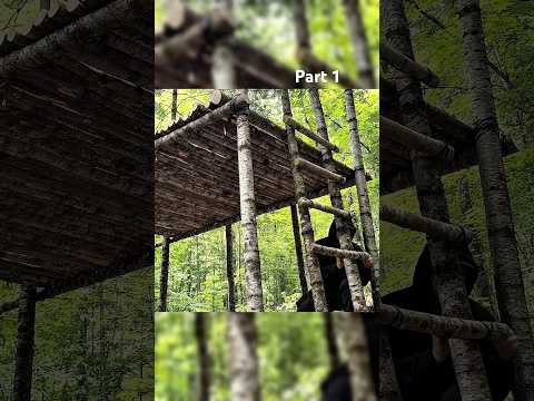 Building a Bushcraft Treehouse | Part 1 #building #survival #bushcraft