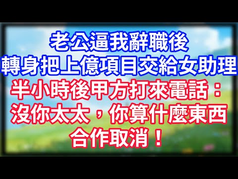 【爽文】老公逼我辭職後，轉身把上億項目交給女助理！半小時後甲方打來電話：沒你太太，你算什麼東西！合作取消！#情感故事 #生活經驗 #老年生活 #為人處世