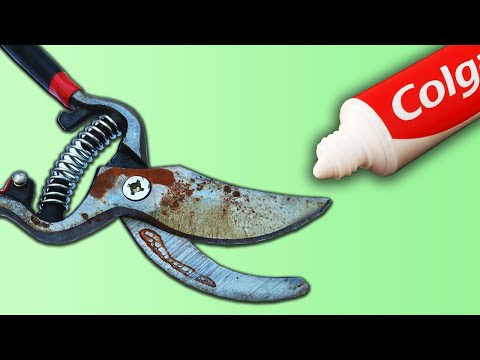 Ingenious Way to Sharpen Pruning Shears in 5 Minutes!