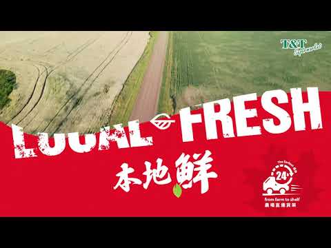 Local Fresh - Canada largest organic mushroom farm 🍄加拿大本地鮮—全北美最大的有機菇農場