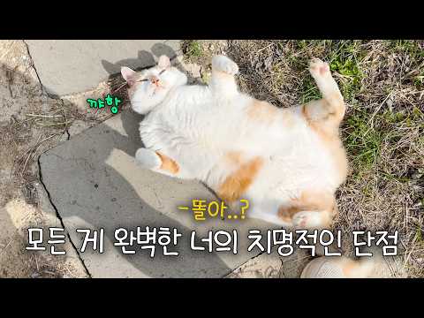 모든 게 완벽한 너의 치명적인 단점