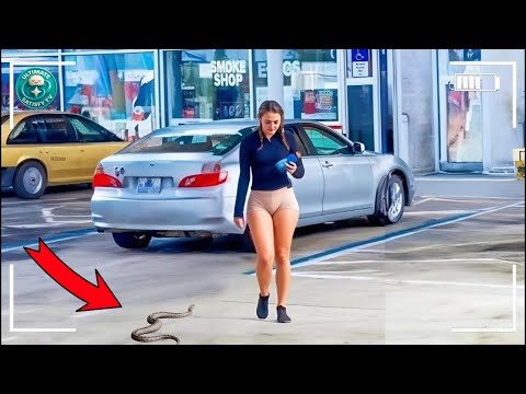 World’s Most Amazing Skills And Talent EVER #39