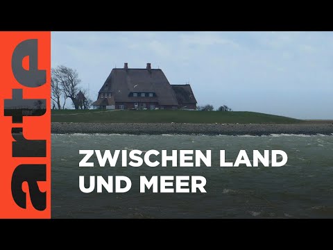 Die Halligen im Wattenmeer | Reupload | ARTE Family