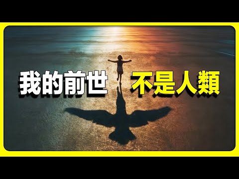 如果真的有來世，你願意做動物還是繼續做人？ 輪迴轉世 ｜ 奇聞傳說 ｜ 轉世再生 ｜ 前世