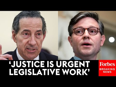 BREAKING: Jamie Raskin Delivers Blistering Response To Speaker Johnson's Speech On The Epstein Files