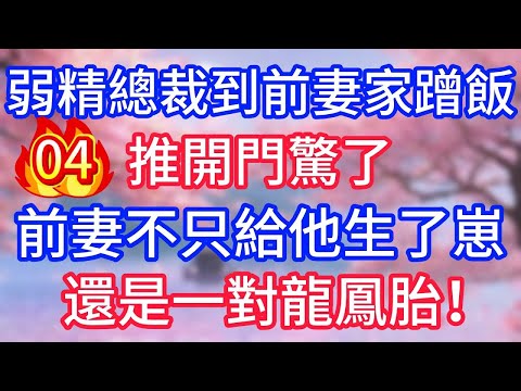 【04】弱精總裁到前妻家蹭飯，推開門驚了，前妻不只給他生了崽，還是一對龍鳳胎！