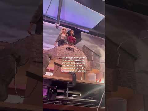 🥲 #abirdhitmywindowandnowimalesbian #wlw