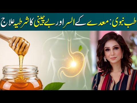 Tibb-e-Nabawi for Stomach Ulcers & Anxiety | Natural Islamic Remedies | Dr Sahar Chawla