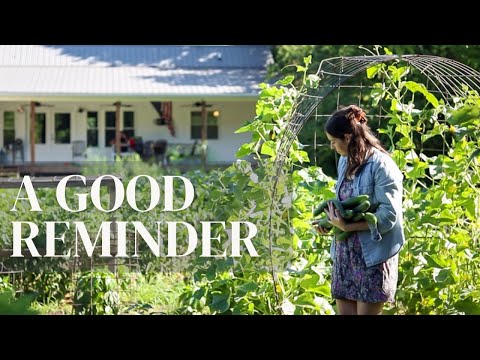 Hard work on the homestead