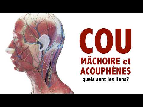 Le cou, la mâchoire et les acouphènes: quels sont les liens?