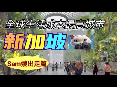 Sam出走新加坡？！[14012026]#街拍