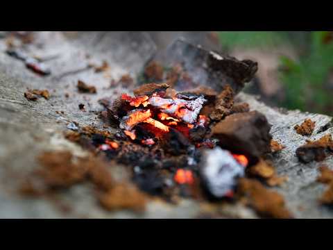 12 Ferro Rod Tinders You Definitely Should Know