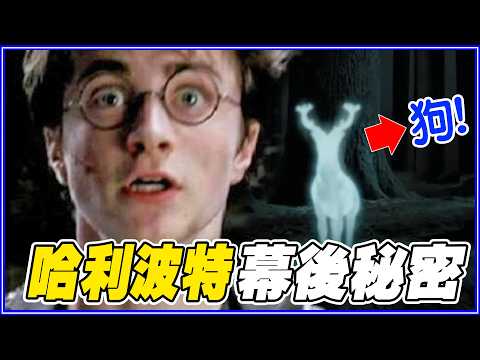 哈利「用壞80支魔法棒」!? 25個哈利波特幕後秘密