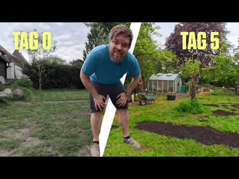 Rasen reparieren für Anfänger