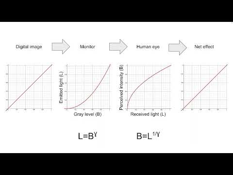 A brief discussion of "gamma" in display and visual systems