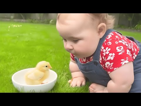 Cute Baby Moments Of The Week | Try Not to Laugh Challenge! 🤣 Funny Baby Videos