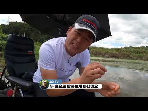 Soya, the "King of Freshwater Fishing Bait," teaches you how to fish with bait.