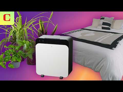 10 Ways to Reduce Allergys